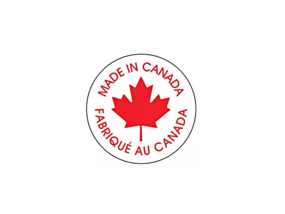 Container Dispensing Pump - 3.78L (1 Gal)